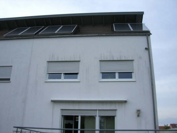 BAU.DE / BAU-Forum: 1. Bild zu Antwort "Bild 1 ..." auf die Frage "Schwarze Flecken Fassade: Algen, Schimmel oder Schmutz? Ursachen & Schnelltest" im BAU-Forum "Au&szlig;enw&auml;nde und Fassaden"