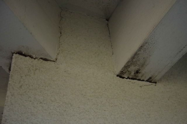 BAU.DE / BAU-Forum: 1. Bild zu Frage "Vollw&auml;rmeschutz & Schimmel am Vordach: Ursachen, Risiken & Sanierung?" im BAU-Forum "Au&szlig;enw&auml;nde und Fassaden"