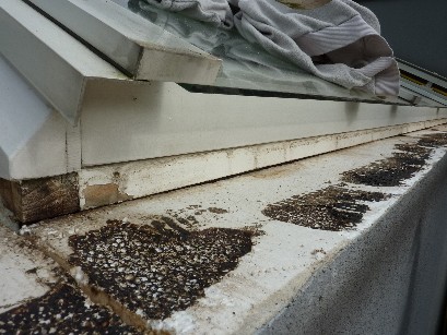 BAU.DE / BAU-Forum: 2. Bild zu Frage "Kondenswasser unter Fensterblech: Ursachen, Folgen & Lösungen für Wintergarten?" im BAU-Forum "Außenwände und Fassaden" BAU.DE / BAU-Forum: 2. Bild zu Frage "Kondenswasser unter Fensterblech: Ursachen, Folgen & Lösungen für Wintergarten?" im BAU-Forum "Außenwände und Fassaden"