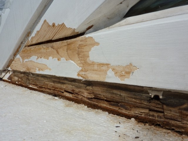 BAU.DE / BAU-Forum: 3. Bild zu Frage "Kondenswasser unter Fensterblech: Ursachen, Folgen & Lösungen für Wintergarten?" im BAU-Forum "Außenwände und Fassaden" BAU.DE / BAU-Forum: 3. Bild zu Frage "Kondenswasser unter Fensterblech: Ursachen, Folgen & Lösungen für Wintergarten?" im BAU-Forum "Außenwände und Fassaden"