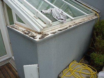 BAU.DE / BAU-Forum: 4. Bild zu Frage "Kondenswasser unter Fensterblech: Ursachen, Folgen & Lösungen für Wintergarten?" im BAU-Forum "Außenwände und Fassaden" BAU.DE / BAU-Forum: 4. Bild zu Frage "Kondenswasser unter Fensterblech: Ursachen, Folgen & Lösungen für Wintergarten?" im BAU-Forum "Außenwände und Fassaden"