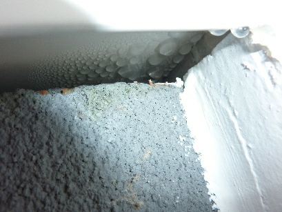 BAU.DE / BAU-Forum: 5. Bild zu Frage "Kondenswasser unter Fensterblech: Ursachen, Folgen & Lösungen für Wintergarten?" im BAU-Forum "Außenwände und Fassaden" BAU.DE / BAU-Forum: 5. Bild zu Frage "Kondenswasser unter Fensterblech: Ursachen, Folgen & Lösungen für Wintergarten?" im BAU-Forum "Außenwände und Fassaden"