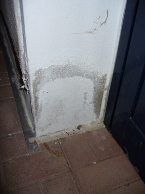 BAU.DE / BAU-Forum: 1. Bild zu Antwort "Feuchter Putz: Fotos von Treppe, Kellert&uuml;r & Hauswand" auf die Frage "Feuchter Putz unter Treppe: Ursachen, Kosten der Sanierung & Risiken?" im BAU-Forum "Au&szlig;enw&auml;nde und Fassaden"