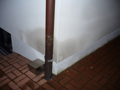 BAU.DE / BAU-Forum: 2. Bild zu Antwort "Feuchtigkeitsschaden: Weitere Bilder zur Schadensanalyse" auf die Frage "Feuchter Putz unter Treppe: Ursachen, Kosten der Sanierung & Risiken?" im BAU-Forum "Au&szlig;enw&auml;nde und Fassaden"