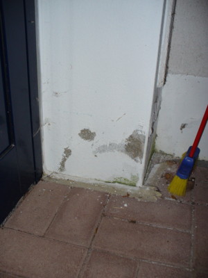 BAU.DE / BAU-Forum: 1. Bild zu Antwort "Feuchtigkeitsschaden: Bilder-Upload abgeschlossen" auf die Frage "Feuchter Putz unter Treppe: Ursachen, Kosten der Sanierung & Risiken?" im BAU-Forum "Au&szlig;enw&auml;nde und Fassaden"