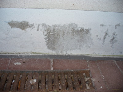 BAU.DE / BAU-Forum: 2. Bild zu Antwort "Feuchtigkeitsschaden: Bilder-Upload abgeschlossen" auf die Frage "Feuchter Putz unter Treppe: Ursachen, Kosten der Sanierung & Risiken?" im BAU-Forum "Au&szlig;enw&auml;nde und Fassaden"