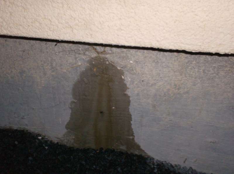 BAU.DE / BAU-Forum: 2. Bild zu Antwort "Pavatex Putz: N&auml;sse am Sockelrand &ndash; Ursache im Verputz?" auf die Frage "Pavatex Putz br&ouml;ckelt: Ursachenforschung & Sanierungskosten f&uuml;r Au&szlig;enputz?" im BAU-Forum "Au&szlig;enw&auml;nde und Fassaden"