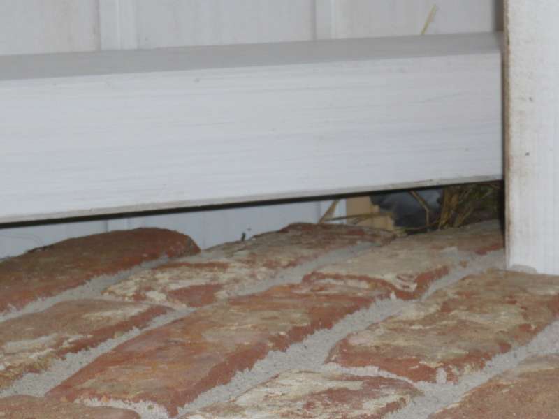 BAU.DE / BAU-Forum: 3. Bild zu Frage "Klinker und Dachverschalung: Maximaler Zwischenraum? Vogelnester vermeiden!" im BAU-Forum "Au&szlig;enw&auml;nde und Fassaden"