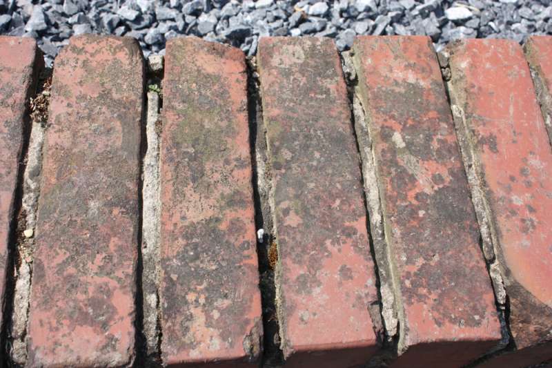 BAU.DE / BAU-Forum: 1. Bild zu Frage "Backsteinmauer reinigen: Flechten, Moose & Patina entfernen – Methoden & Risiken?" im BAU-Forum "Außenwände und Fassaden" BAU.DE / BAU-Forum: 1. Bild zu Frage "Backsteinmauer reinigen: Flechten, Moose & Patina entfernen – Methoden & Risiken?" im BAU-Forum "Außenwände und Fassaden"