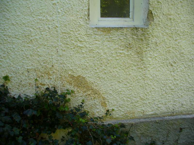 BAU.DE / BAU-Forum: 4. Bild zu Frage "Alten Putz ausbessern: Anleitung, Kosten & geeignete Fassadenfarbe für Wetterseite?" im BAU-Forum "Außenwände und Fassaden" BAU.DE / BAU-Forum: 4. Bild zu Frage "Alten Putz ausbessern: Anleitung, Kosten & geeignete Fassadenfarbe für Wetterseite?" im BAU-Forum "Außenwände und Fassaden"