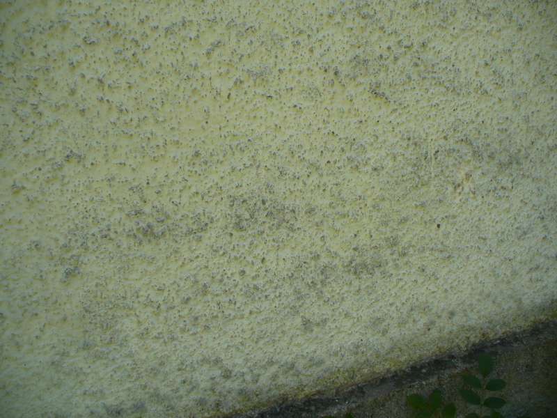 BAU.DE / BAU-Forum: 5. Bild zu Frage "Alten Putz ausbessern: Anleitung, Kosten & geeignete Fassadenfarbe für Wetterseite?" im BAU-Forum "Außenwände und Fassaden" BAU.DE / BAU-Forum: 5. Bild zu Frage "Alten Putz ausbessern: Anleitung, Kosten & geeignete Fassadenfarbe für Wetterseite?" im BAU-Forum "Außenwände und Fassaden"