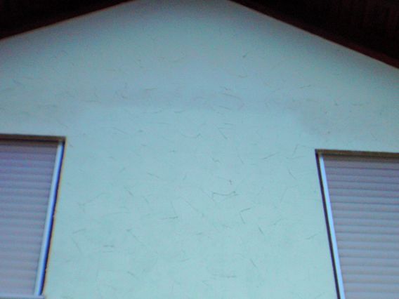 BAU.DE / BAU-Forum: 5. Bild zu Frage "Schwarze Flecken Fassade: Ursachen, Entfernung & Vorbeugung bei Putzfassade?" im BAU-Forum "Au&szlig;enw&auml;nde und Fassaden"