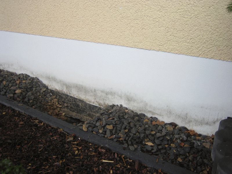 BAU.DE / BAU-Forum: 1. Bild zu Antwort "Foto des Sockelso." auf die Frage "WDVS Sockel: Schimmelbildung nach Schneeschmelze &ndash; Ursachen, Verantwortlichkeiten & Kosten?" im BAU-Forum "Au&szlig;enw&auml;nde und Fassaden"
