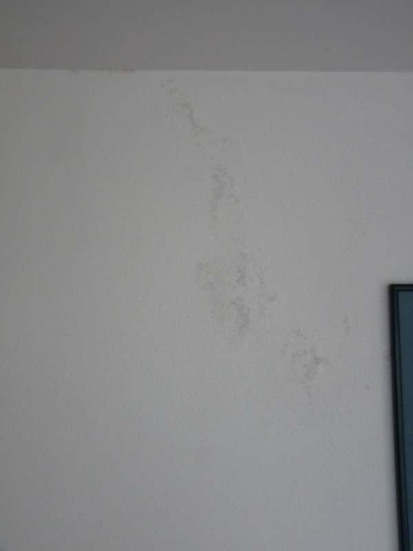 BAU.DE / BAU-Forum: 1. Bild zu Frage "Restfeuchte im Neubau nach 4 Jahren: Ursachen, Folgen & Sanierungskosten?" im BAU-Forum "Außenwände und Fassaden" BAU.DE / BAU-Forum: 1. Bild zu Frage "Restfeuchte im Neubau nach 4 Jahren: Ursachen, Folgen & Sanierungskosten?" im BAU-Forum "Außenwände und Fassaden"