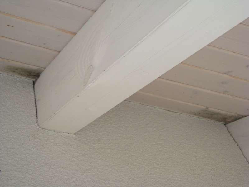 BAU.DE / BAU-Forum: 1. Bild zu Frage "Dunkle Flecken unter dem Dach: Ursachen, Risiken & Sanierungskosten?" im BAU-Forum "Au&szlig;enw&auml;nde und Fassaden"