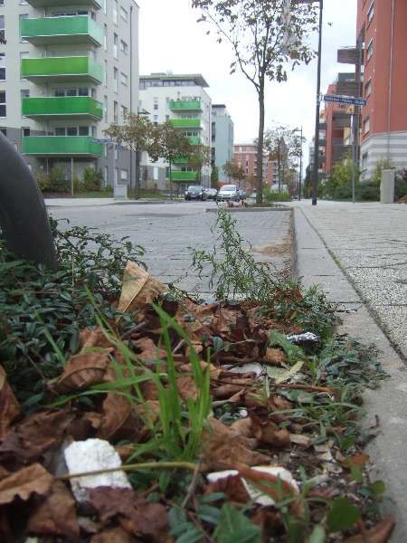 BAU.DE / BAU-Forum: 3. Bild zu Antwort "WDVS-D&auml;mmungswahn: Kritik an Schimmelbuden und Umweltverschmutzung" auf die Frage "WDVS D&auml;mmplatten Farben (wei&szlig;, grau, rosa): Unterschiede, Vor- & Nachteile?" im BAU-Forum "Au&szlig;enw&auml;nde und Fassaden"