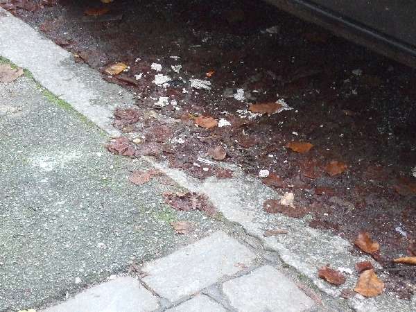 BAU.DE / BAU-Forum: 3. Bild zu Antwort "EnEV-Bauzerst&ouml;rung: WDVS-Sch&auml;den und Umweltbelastung durch D&auml;mmung" auf die Frage "WDVS D&auml;mmplatten Farben (wei&szlig;, grau, rosa): Unterschiede, Vor- & Nachteile?" im BAU-Forum "Au&szlig;enw&auml;nde und Fassaden"