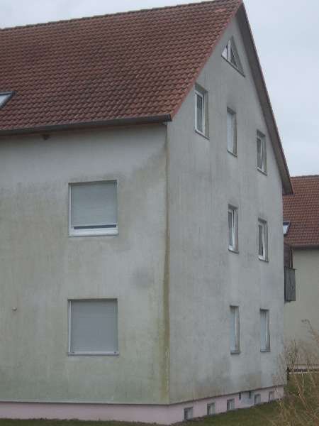 BAU.DE / BAU-Forum: 1. Bild zu Antwort "Buch-Zitat: WDVS & Gesetz, Energiepass, Heizkosten" auf die Frage "WDVS D&auml;mmst&auml;rke berechnen: Anleitung, U-Wert Rechner & Kosten f&uuml;r Fassadend&auml;mmung?" im BAU-Forum "Au&szlig;enw&auml;nde und Fassaden"