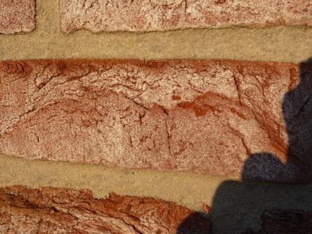 BAU.DE / BAU-Forum: 2. Bild zu Frage "Ausbl&uuml;hungen am Verblender entfernen: Ursachen, Reinigung & Schutzma&szlig;nahmen?" im BAU-Forum "Au&szlig;enw&auml;nde und Fassaden"