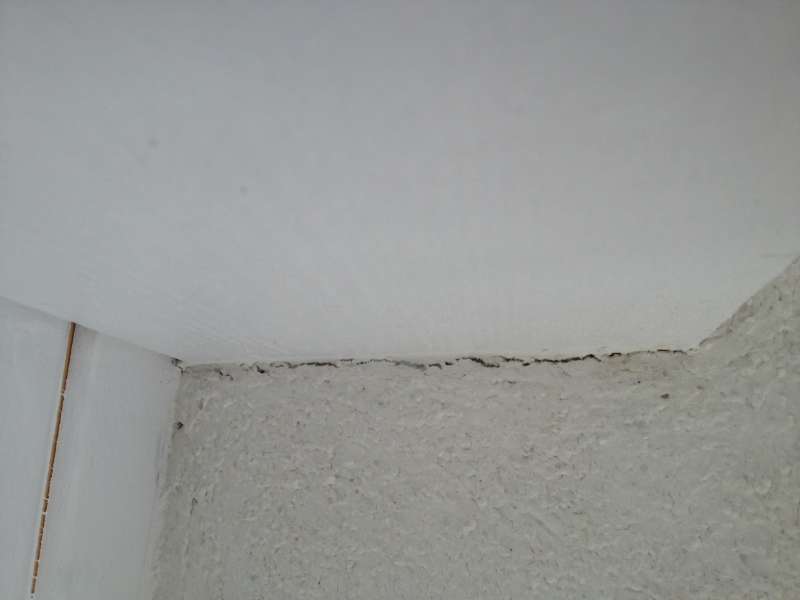 BAU.DE / BAU-Forum: 3. Bild zu Frage "Holzuntersicht Außenputz: Korrekte Ausführung, Vermeidung von Rissen & Alternativen zur Acrylfuge?" im BAU-Forum "Außenwände und Fassaden" BAU.DE / BAU-Forum: 3. Bild zu Frage "Holzuntersicht Außenputz: Korrekte Ausführung, Vermeidung von Rissen & Alternativen zur Acrylfuge?" im BAU-Forum "Außenwände und Fassaden"