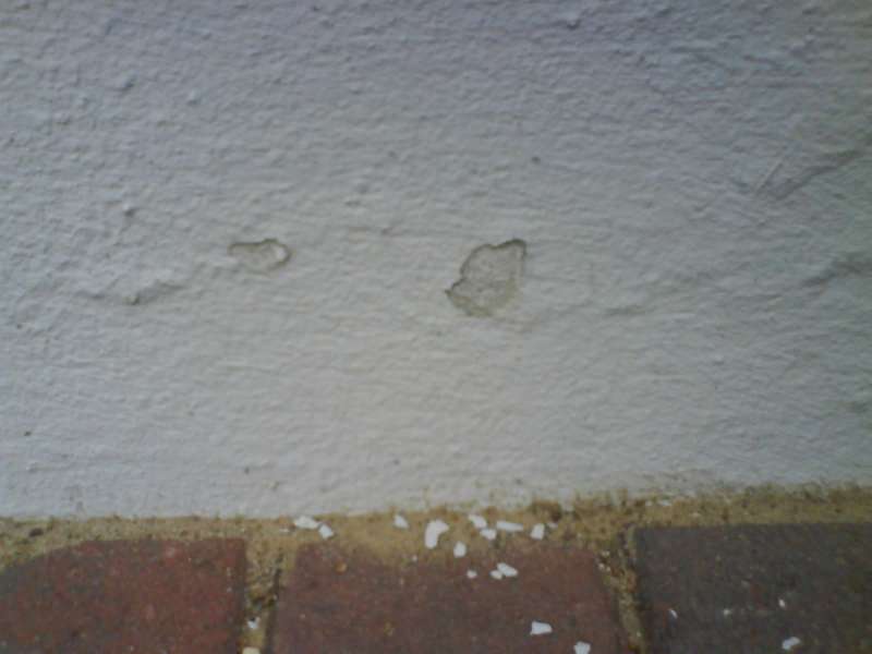 BAU.DE / BAU-Forum: 1. Bild zu Frage "Sockel sanieren: Ursachen f&uuml;r Salzausbl&uuml;hungen, Kosten & Sanierungsmethoden?" im BAU-Forum "Au&szlig;enw&auml;nde und Fassaden"