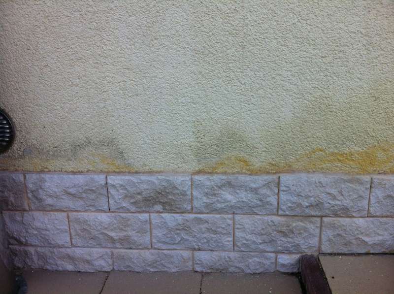 BAU.DE / BAU-Forum: 1. Bild zu Frage "Feuchtigkeit oberhalb Sockel an Au&szlig;enwand: Ursachen, Sanierung & Kosten?" im BAU-Forum "Au&szlig;enw&auml;nde und Fassaden"