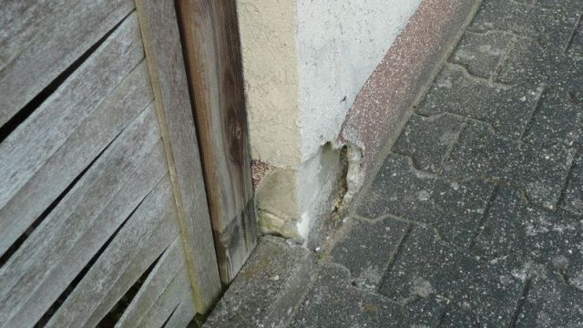 BAU.DE / BAU-Forum: 4. Bild zu Frage "Sockelputz löst sich durch Pflaster: Ursachen, Sanierung & Nachbarrecht?" im BAU-Forum "Außenwände und Fassaden" BAU.DE / BAU-Forum: 4. Bild zu Frage "Sockelputz löst sich durch Pflaster: Ursachen, Sanierung & Nachbarrecht?" im BAU-Forum "Außenwände und Fassaden"
