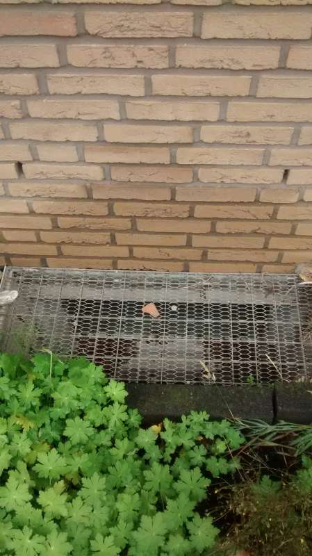 BAU.DE / BAU-Forum: 2. Bild zu Frage "2 schalige hinterlüftete Klinkerfassade Wasserschäden?" im BAU-Forum "Außenwände und Fassaden" BAU.DE / BAU-Forum: 2. Bild zu Frage "2 schalige hinterlüftete Klinkerfassade Wasserschäden?" im BAU-Forum "Außenwände und Fassaden"