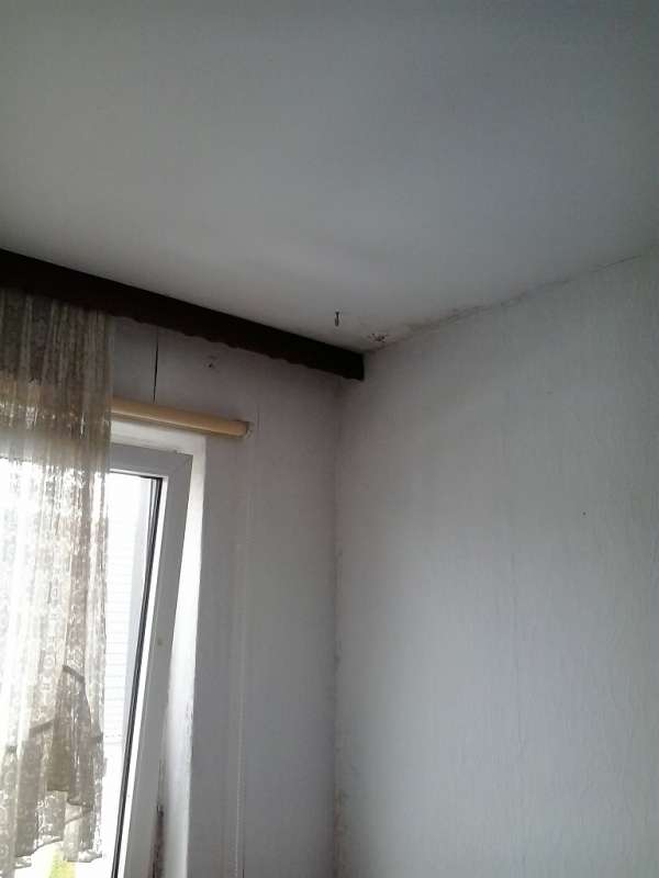 BAU.DE / BAU-Forum: 2. Bild zu Frage "Feuchtigkeitsschaden Au&szlig;enwand mit innenliegendem Fallrohr" im BAU-Forum "Au&szlig;enw&auml;nde und Fassaden"