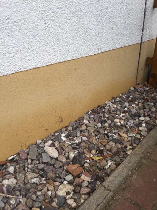 BAU.DE / BAU-Forum: 4. Bild zu Frage "Aufsteigende Feuchtigkeit in Putzfassade: Ursachen, Sanierung & Kosten?" im BAU-Forum "Außenwände und Fassaden" BAU.DE / BAU-Forum: 4. Bild zu Frage "Aufsteigende Feuchtigkeit in Putzfassade: Ursachen, Sanierung & Kosten?" im BAU-Forum "Außenwände und Fassaden"