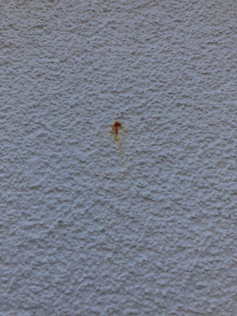 BAU.DE / BAU-Forum: 2. Bild zu Frage "(gelb/braune/orangene) Flecken an der Hausfassade" im BAU-Forum "Au&szlig;enw&auml;nde und Fassaden"