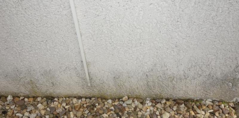 BAU.DE / BAU-Forum: 1. Bild zu Frage "Fassade streichen/Putz" im BAU-Forum "Au&szlig;enw&auml;nde und Fassaden"