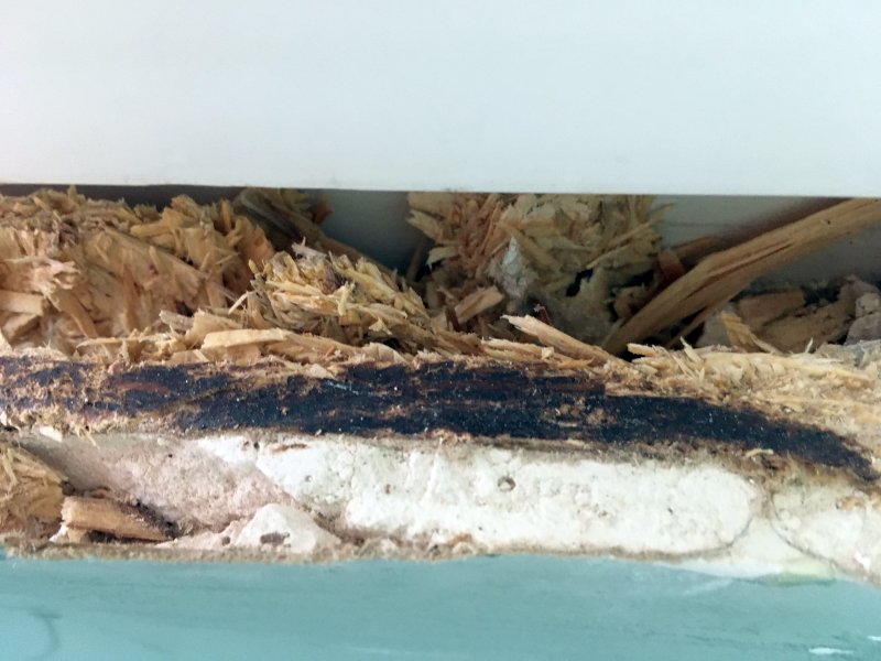 BAU.DE / BAU-Forum: 1. Bild zu Antwort "DDR-Bungalow (B26 C1): Au&szlig;enw&auml;nde / Fassade aus Asbestzementplatten" auf die Frage "Asbestzementplatten Fassade DDR-Bungalow: Sanierung, Gef&auml;hrdung & Kosten?" im BAU-Forum "Au&szlig;enw&auml;nde und Fassaden"