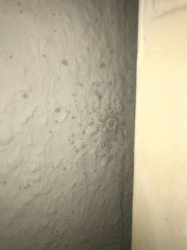 BAU.DE / BAU-Forum: 3. Bild zu Frage "Ist das Schimmel?" im BAU-Forum "Au&szlig;enw&auml;nde und Fassaden"