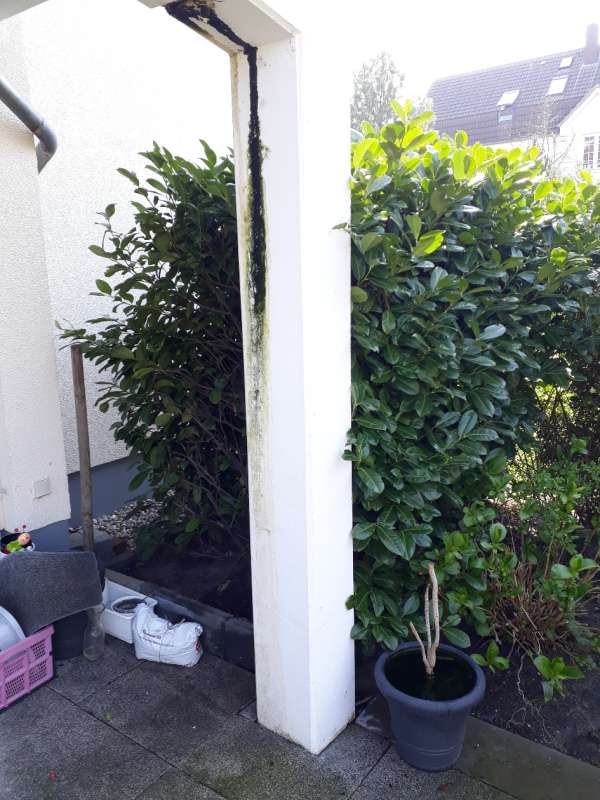 BAU.DE / BAU-Forum: 2. Bild zu Frage "Rost- und Algenwasser (Rostwasser, Algenwasser) kommt aus Terrassenpfeiler" im BAU-Forum "Au&szlig;enw&auml;nde und Fassaden"