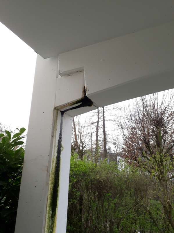 BAU.DE / BAU-Forum: 3. Bild zu Frage "Rost- und Algenwasser (Rostwasser, Algenwasser) kommt aus Terrassenpfeiler" im BAU-Forum "Au&szlig;enw&auml;nde und Fassaden"