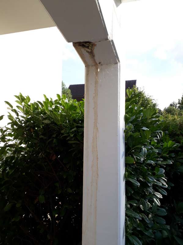 BAU.DE / BAU-Forum: 4. Bild zu Frage "Rost- und Algenwasser (Rostwasser, Algenwasser) kommt aus Terrassenpfeiler" im BAU-Forum "Au&szlig;enw&auml;nde und Fassaden"