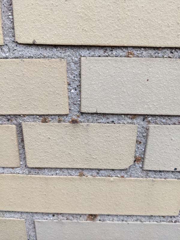 BAU.DE / BAU-Forum: 1. Bild zu Frage "Rostflecken in den Fugen der Klinker" im BAU-Forum "Au&szlig;enw&auml;nde und Fassaden"