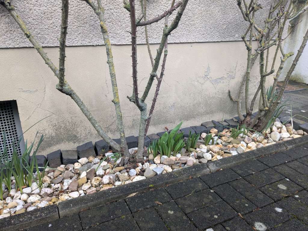 BAU-Forumsbeitrag: Wer kontrolliert alte DIN Normen in NRW? BAU-Forumsbeitrag: Wer kontrolliert alte DIN Normen in NRW?