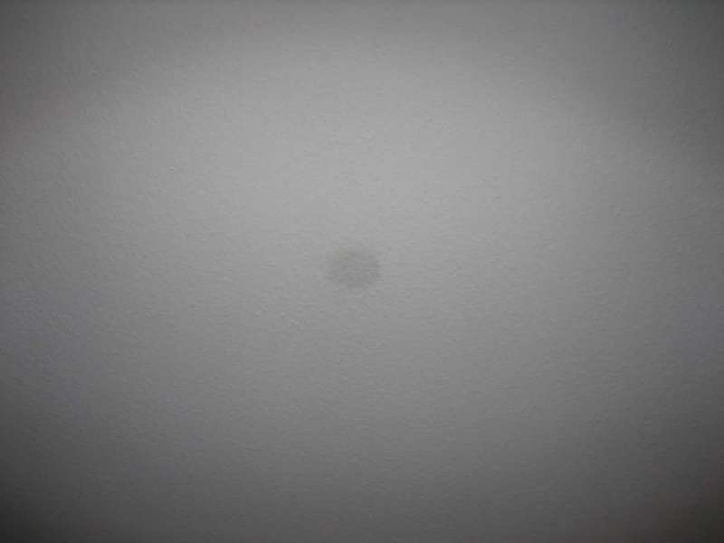 BAU.DE / BAU-Forum: 1. Bild zu Antwort "Nicht am Giebel, sondern mittig an der Dachschr&auml;ge..." auf die Frage "Nasse Flecken Dachschr&auml;ge: Ursachen, Risiken & Sofortma&szlig;nahmen im Fertighaus?" im BAU-Forum "Bauphysik"