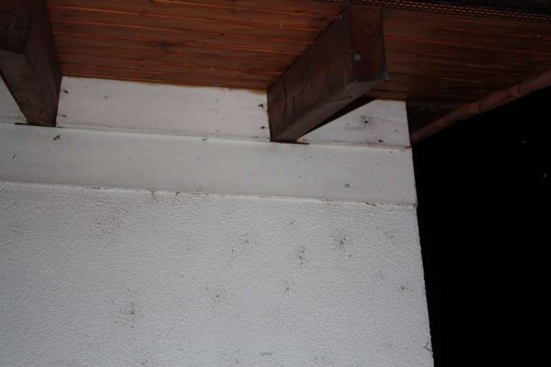 BAU.DE / BAU-Forum: 2. Bild zu Frage "Wasser auf der Dampfsperre" im BAU-Forum "Bauphysik"