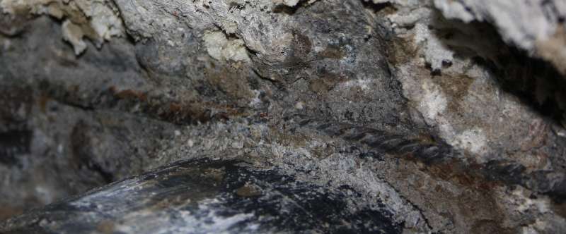 BAU.DE / BAU-Forum: 2. Bild zu Antwort "Schlimmeren Baupfusch" auf die Frage "Kanalrohr berührt Stahl in Wand: Gefahr für Statik & Korrosion? Ursachen, Sanierung" im BAU-Forum "Bauphysik" BAU.DE / BAU-Forum: 2. Bild zu Antwort "Schlimmeren Baupfusch" auf die Frage "Kanalrohr berührt Stahl in Wand: Gefahr für Statik & Korrosion? Ursachen, Sanierung" im BAU-Forum "Bauphysik"