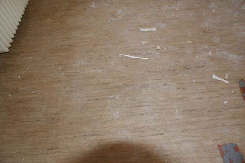 BAU.DE / BAU-Forum: 3. Bild zu Antwort "noch ein Foto vom OG" auf die Frage "Bodenplatten identifizieren: Material, Alter & potentielle Gefahren im Altbau?" im BAU-Forum "Baustoffe"