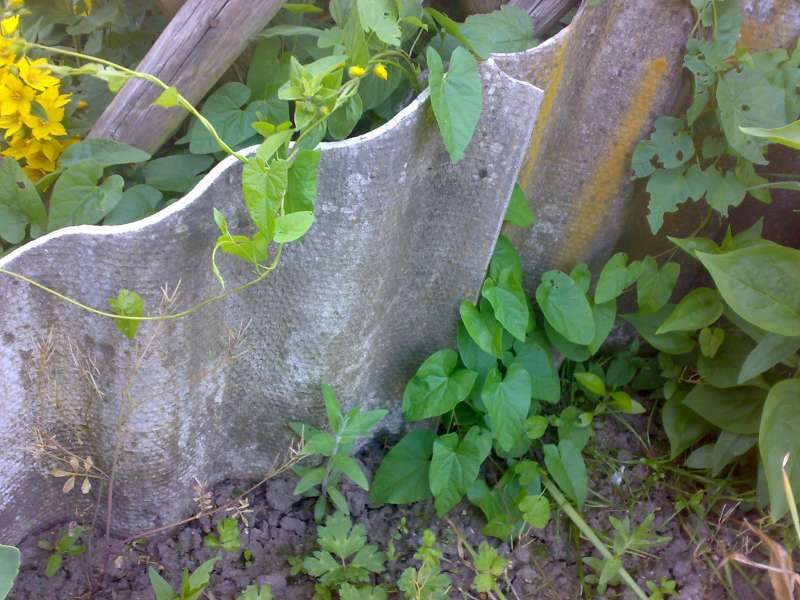 BAU.DE / BAU-Forum: 1. Bild zu Frage "Was ist das? Asbest?" im BAU-Forum "Baustoffe"