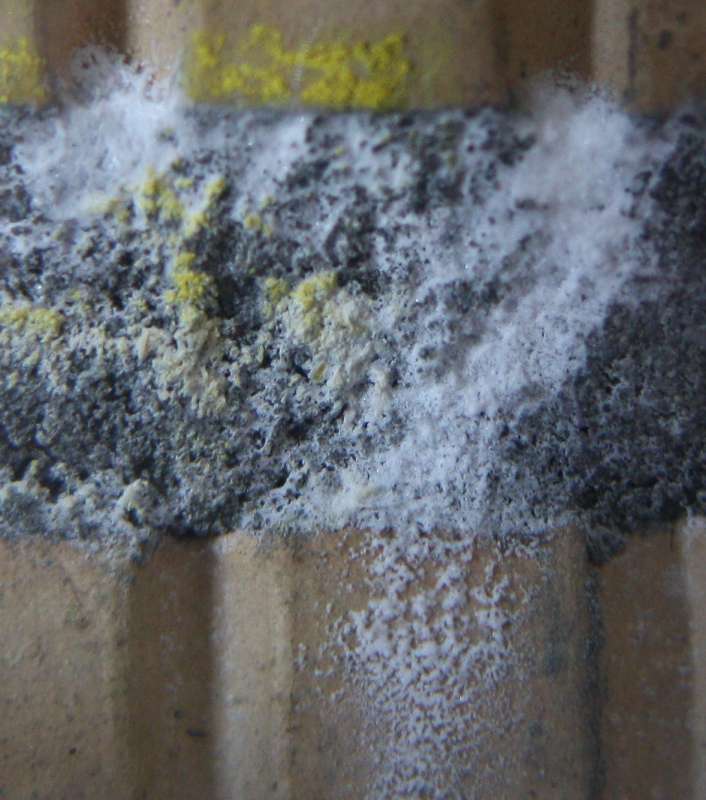BAU.DE / BAU-Forum: 1. Bild zu Frage "Wei&szlig;e Ausbl&uuml;hungen im M&ouml;rtel" im BAU-Forum "Baustoffe"
