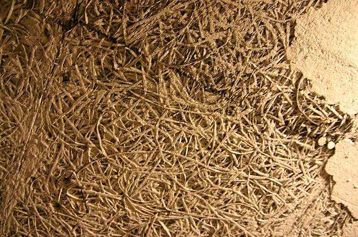 BAU.DE / BAU-Forum: 3. Bild zu Frage "D&auml;mmstoff von 1964 &nbsp;-&nbsp; Asbest?" im BAU-Forum "Baustoffe"