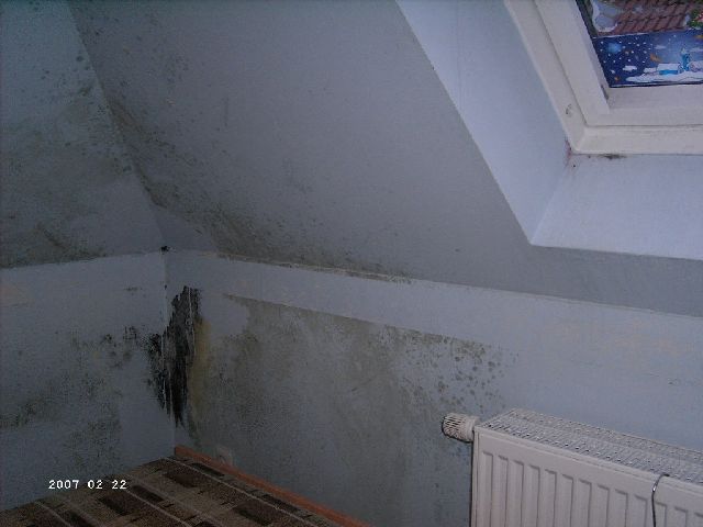 BAU.DE / BAU-Forum: 1. Bild zu Frage "Schimmel durch fehlende Dachziegel: Ursachen, Risiken & Sanierungskosten?" im BAU-Forum "Dach"