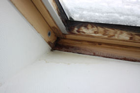 BAU.DE / BAU-Forum: 1. Bild zu Frage "Dachfenster nass & gammelig: Ursachen, Reparatur & Vermieter-Pflichten bei Feuchtigkeit?" im BAU-Forum "Dach"