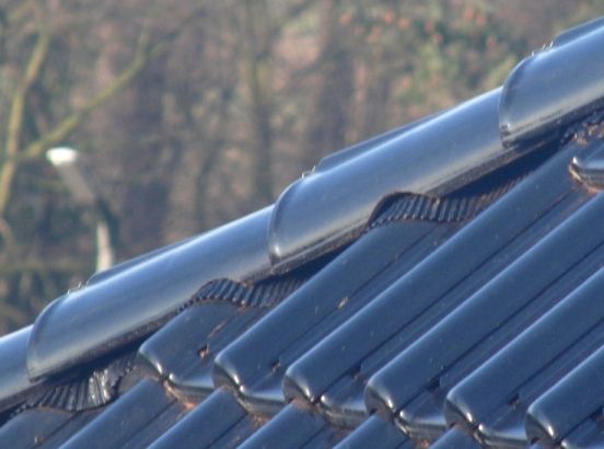 BAU.DE / BAU-Forum: 1. Bild zu Frage "Walmziegel zurechtflexen: Fachgerecht oder Risiko f&uuml;r Dichtigkeit & Haltbarkeit?" im BAU-Forum "Dach"