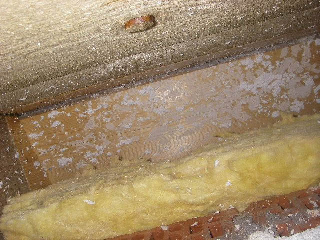 BAU.DE / BAU-Forum: 1. Bild zu Antwort "Viertes Bild" auf die Frage "Schimmel im Kniestock: Ursachen, Gefahren & Sanierung bei Feuchtigkeit im Dach" im BAU-Forum "Dach"